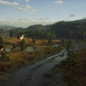 Way of the Hunter